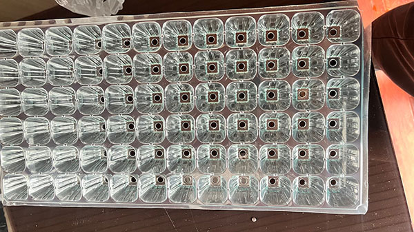 PET育苗盤(pán)片材